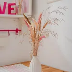 Transylvanian Nomad *