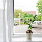 Transylvanian Nomad Apartament Cluj-Napoca