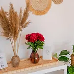 Transylvanian Nomad *