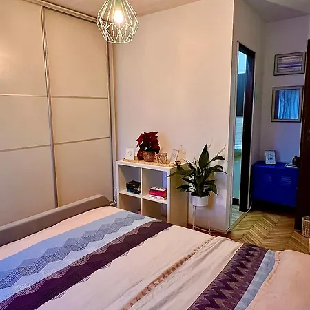 Apartament Transylvanian Nomad *