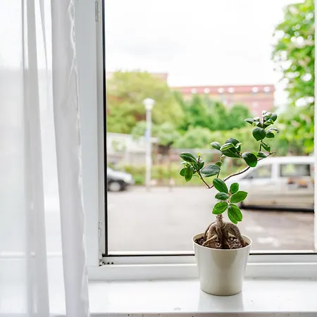Transylvanian Nomad Apartment Cluj-Napoca
