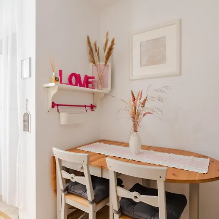 Transylvanian Nomad * كلوج-نابوكا