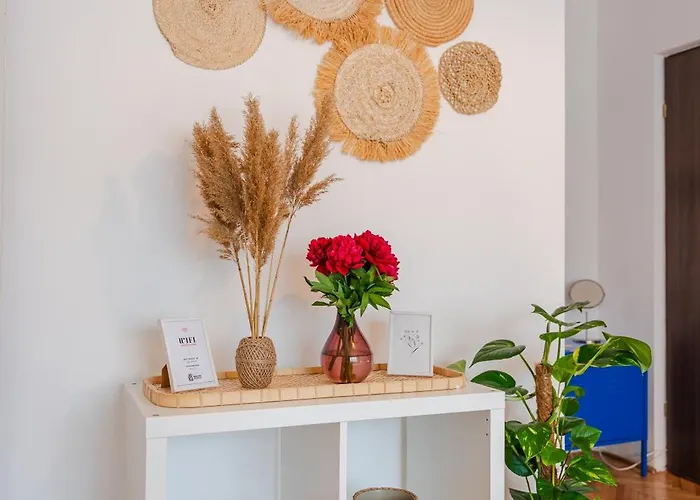 Apartament Transylvanian Nomad *