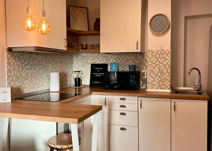 Transylvanian Nomad Apartament *