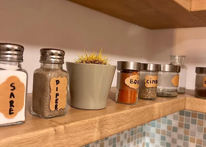 Apartament Transylvanian Nomad *